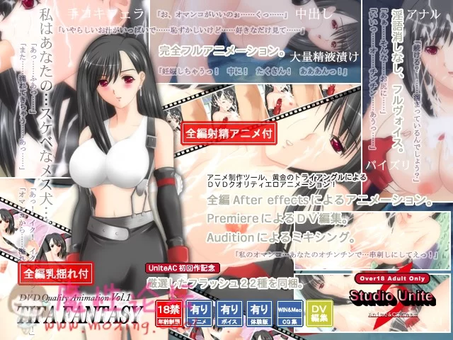 DVD Quality Animation Vol.1 TIFA FANTASY.jpg