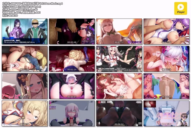 HMV FGO-迦勒底NTR记录 Vol.2 Pure Music.mp4.jpg