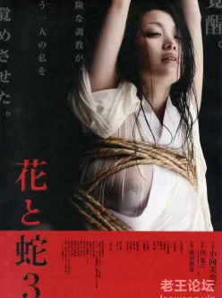 [转载搬运] [日本/三级] 花与蛇3 Flower and Snake.3[中文字幕][MP4/2.73GB] [1v+2.73GB][磁力链接]